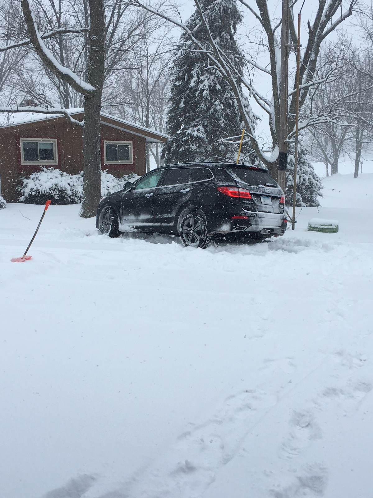 January 2020, In the ditch